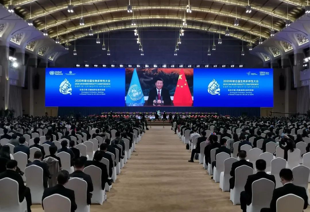 问鼎国际(中国区) - 官方网站