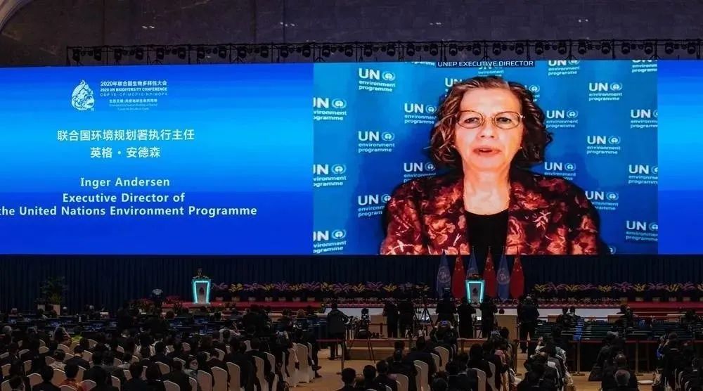 问鼎国际(中国区) - 官方网站